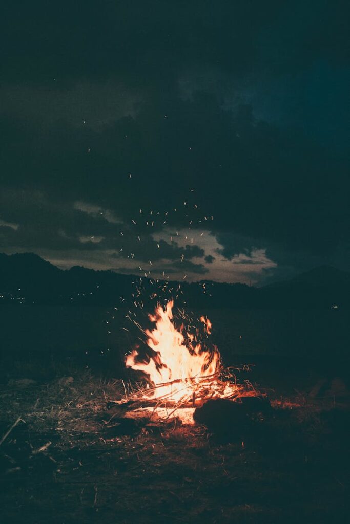 pexels-photo-1368382 A peaceful campfire burning brightly under a starry sky in Colibița, Romania, creating a warm and cozy atmosphere.